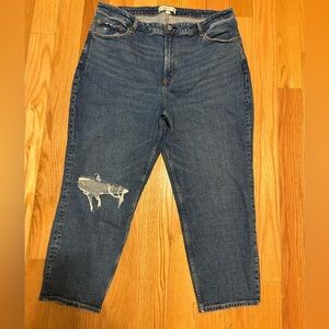 Abercrombie & Fitch The Mom High Rise Size 18 Short